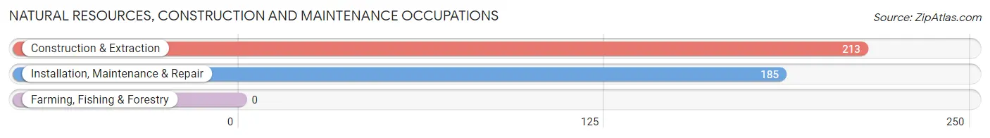 Natural Resources, Construction and Maintenance Occupations in Petal