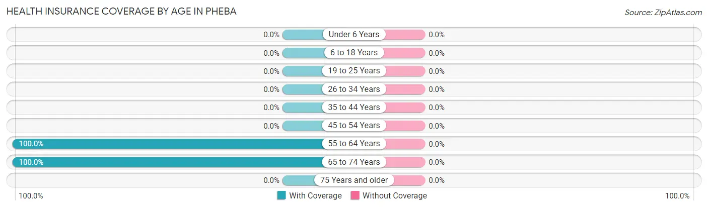 Health Insurance Coverage by Age in Pheba