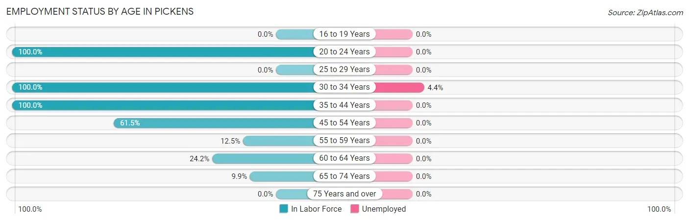 Employment Status by Age in Pickens