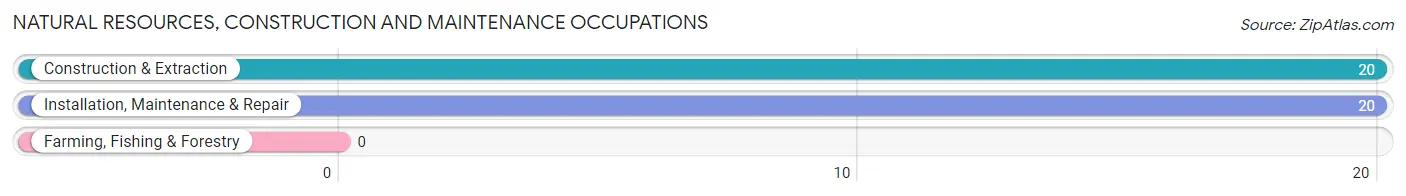 Natural Resources, Construction and Maintenance Occupations in Pickens