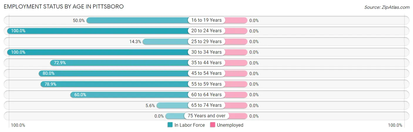 Employment Status by Age in Pittsboro