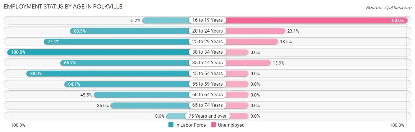 Employment Status by Age in Polkville