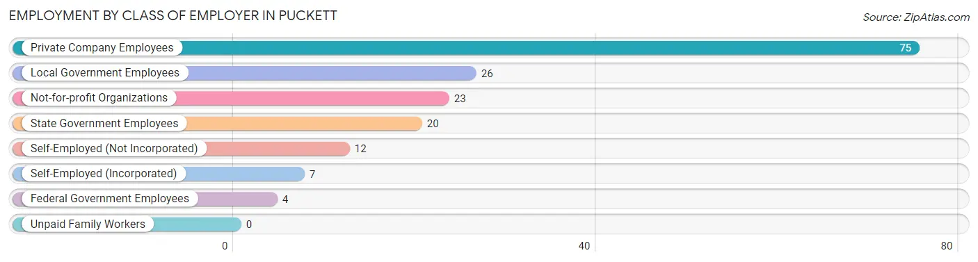 Employment by Class of Employer in Puckett