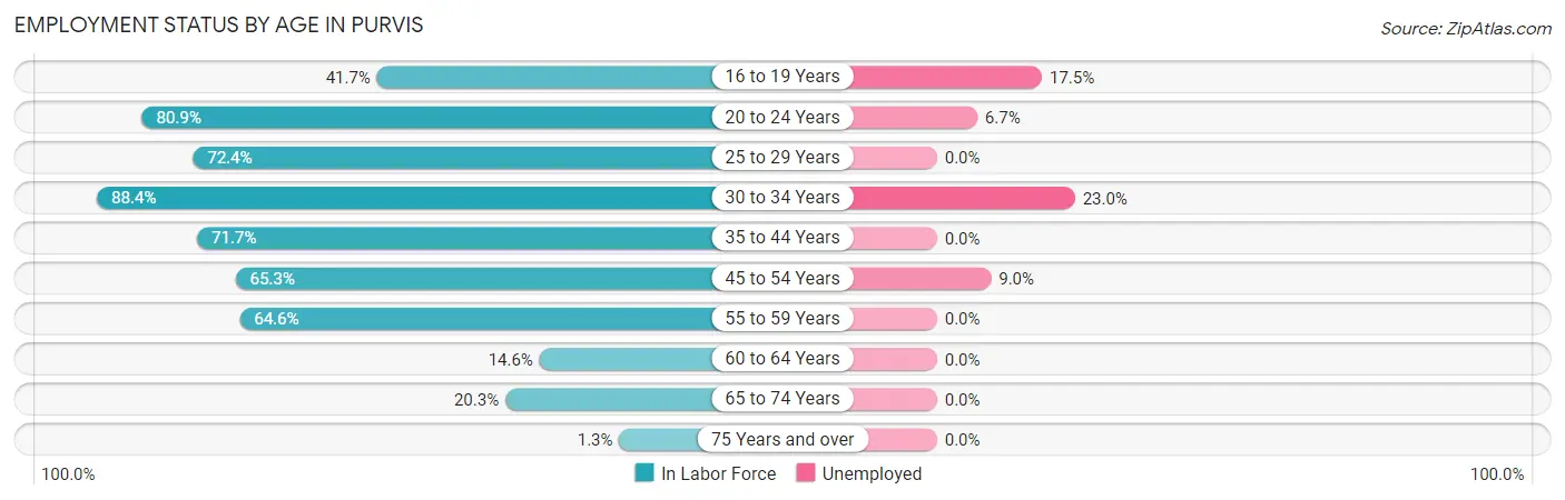 Employment Status by Age in Purvis