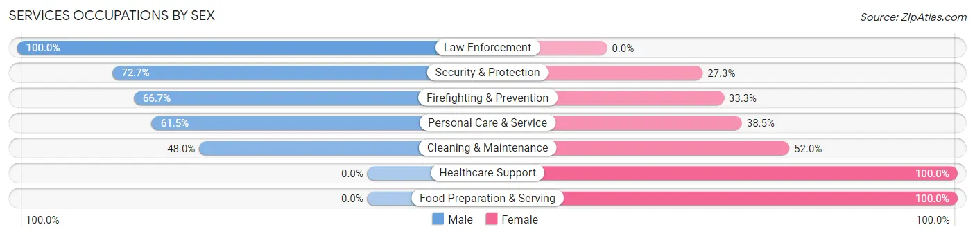 Services Occupations by Sex in Raymond