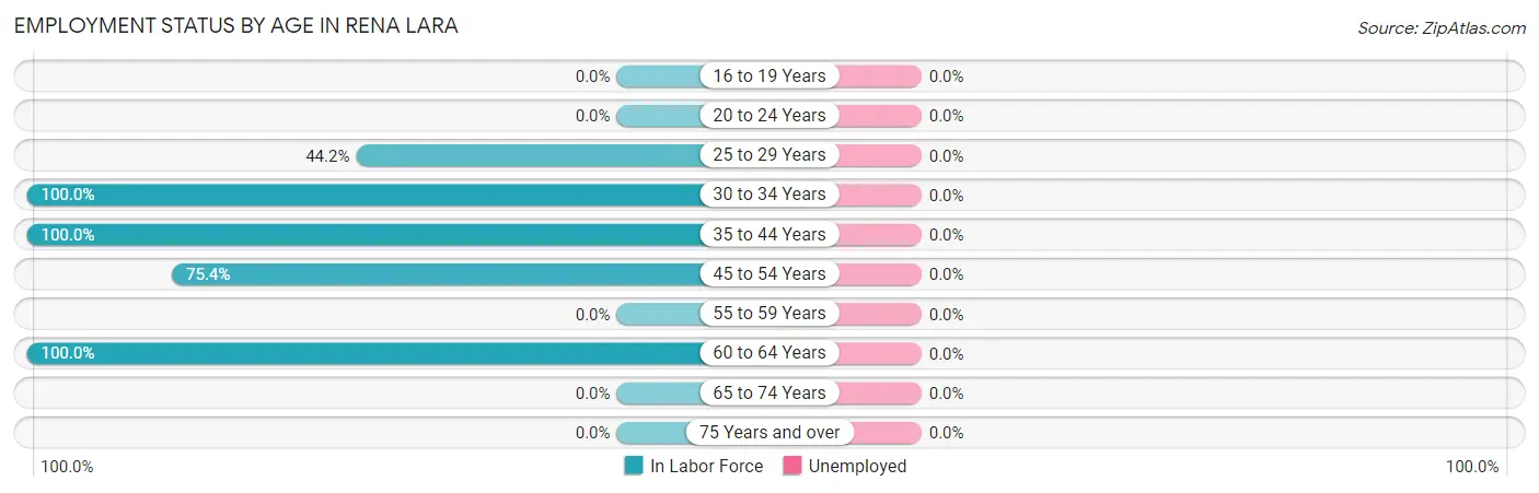 Employment Status by Age in Rena Lara