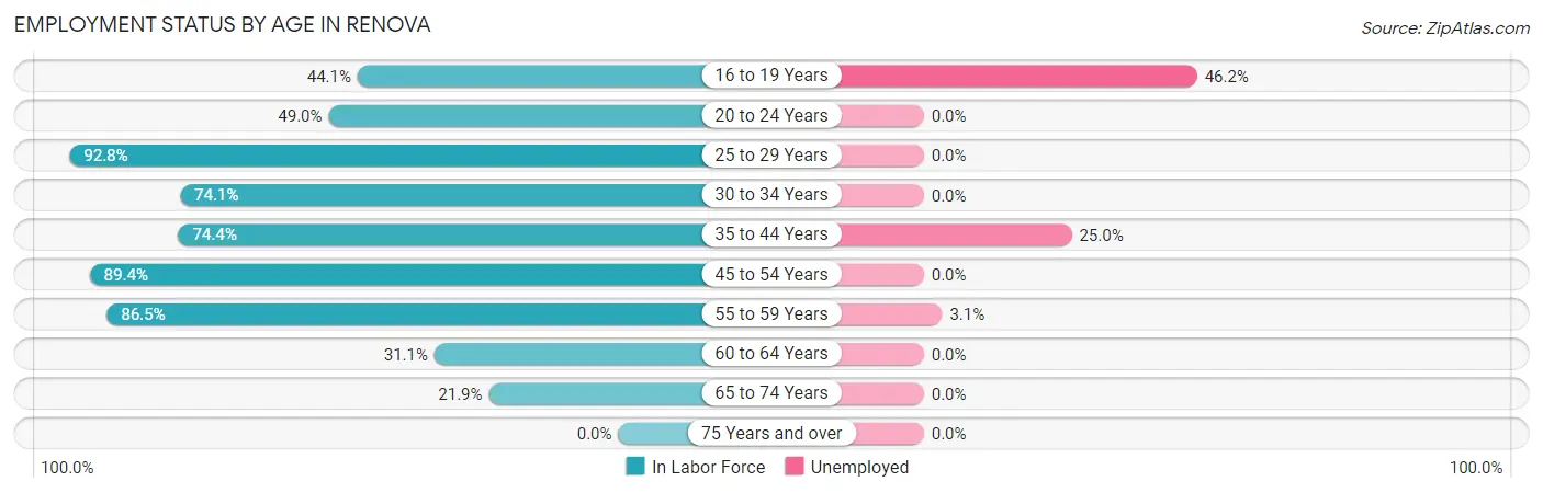 Employment Status by Age in Renova