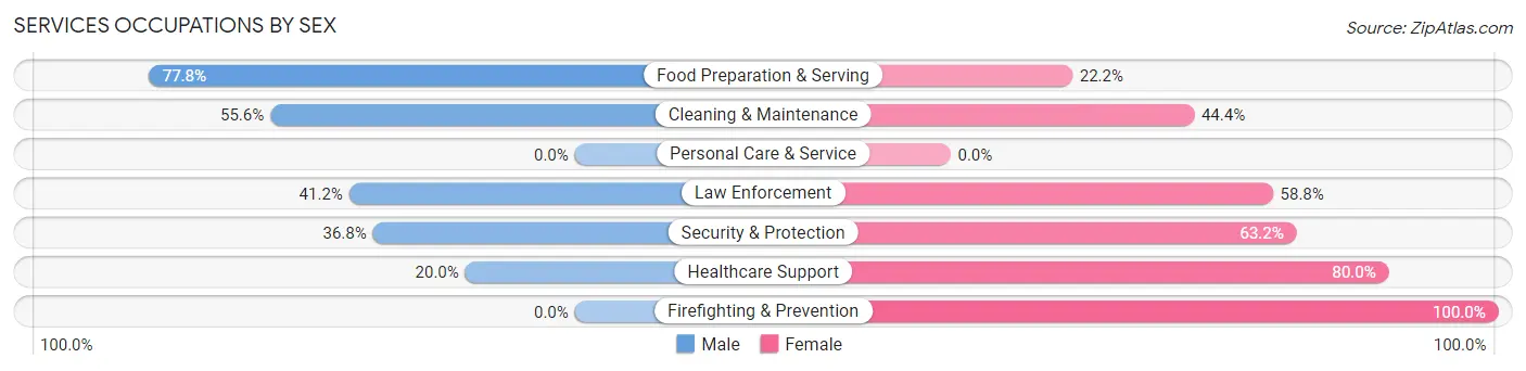 Services Occupations by Sex in Renova