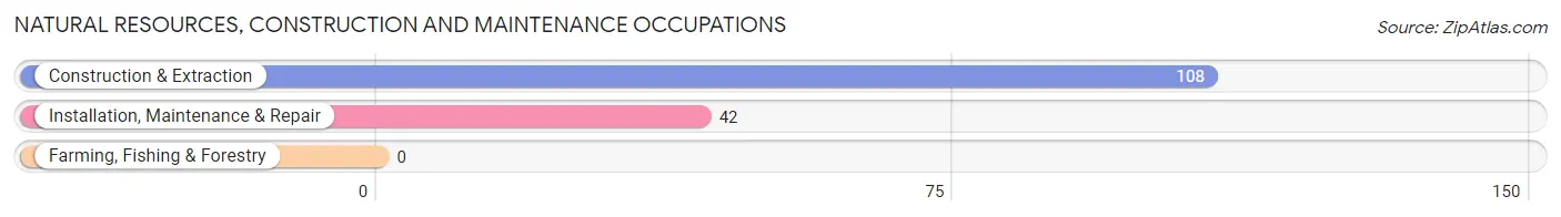 Natural Resources, Construction and Maintenance Occupations in Robinhood