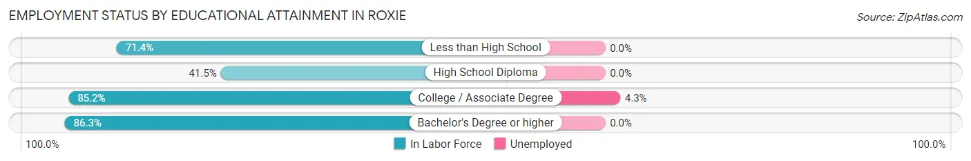 Employment Status by Educational Attainment in Roxie