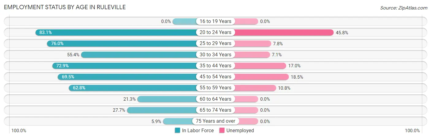 Employment Status by Age in Ruleville