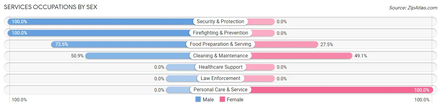 Services Occupations by Sex in Saltillo