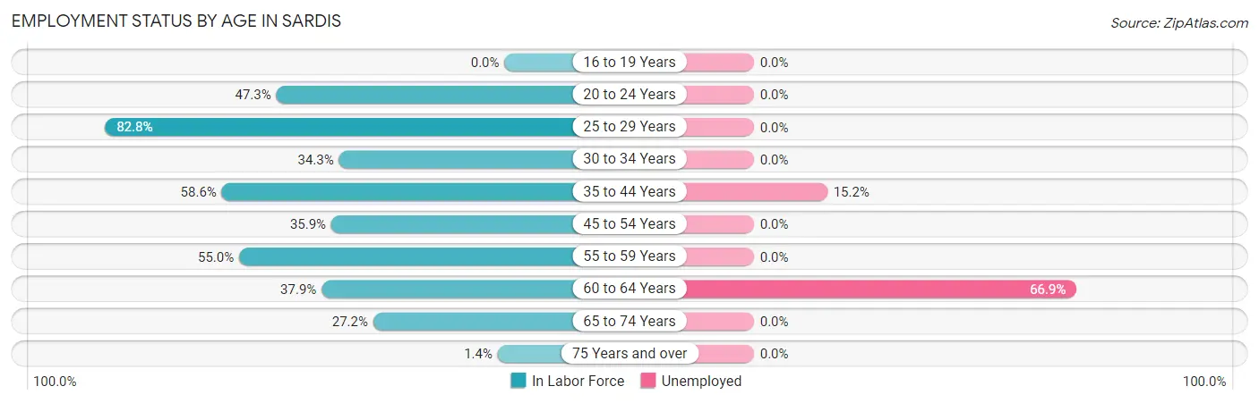 Employment Status by Age in Sardis