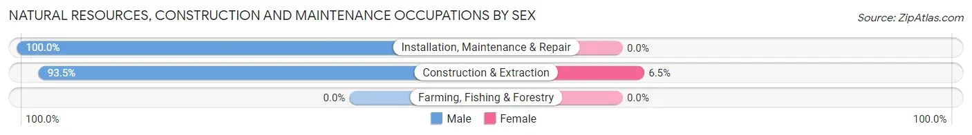 Natural Resources, Construction and Maintenance Occupations by Sex in Sardis