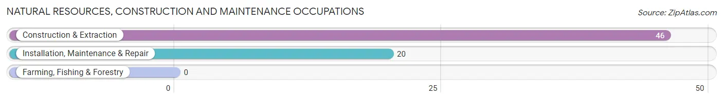 Natural Resources, Construction and Maintenance Occupations in Sardis