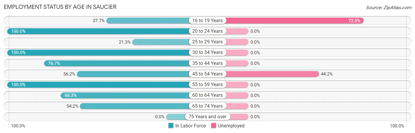 Employment Status by Age in Saucier
