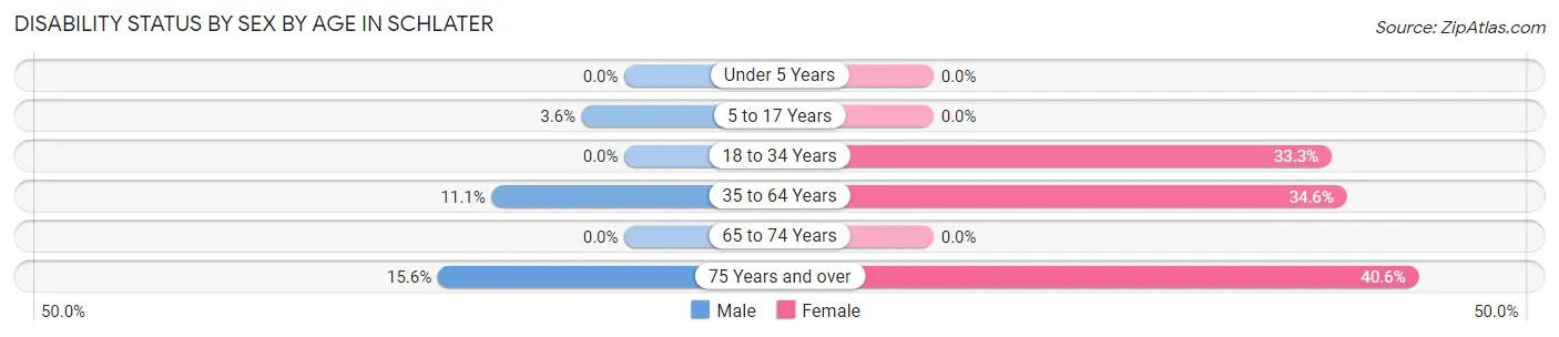 Disability Status by Sex by Age in Schlater