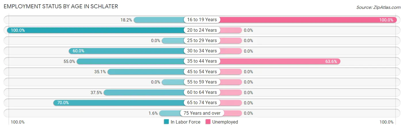 Employment Status by Age in Schlater