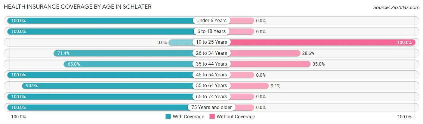 Health Insurance Coverage by Age in Schlater
