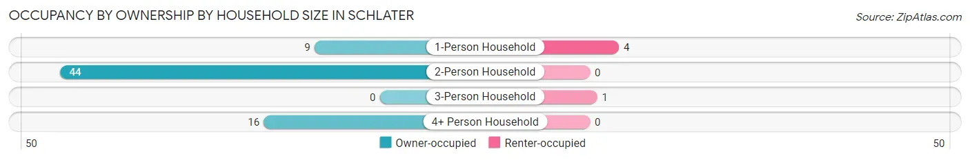 Occupancy by Ownership by Household Size in Schlater