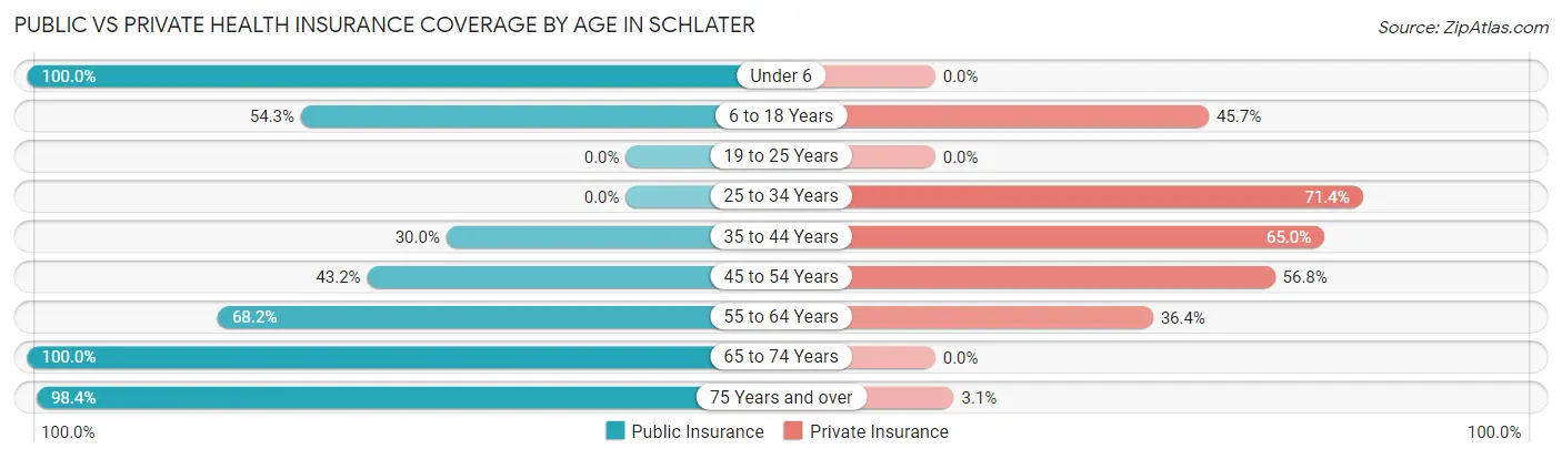 Public vs Private Health Insurance Coverage by Age in Schlater