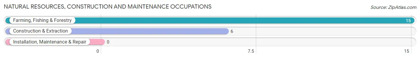 Natural Resources, Construction and Maintenance Occupations in Scooba