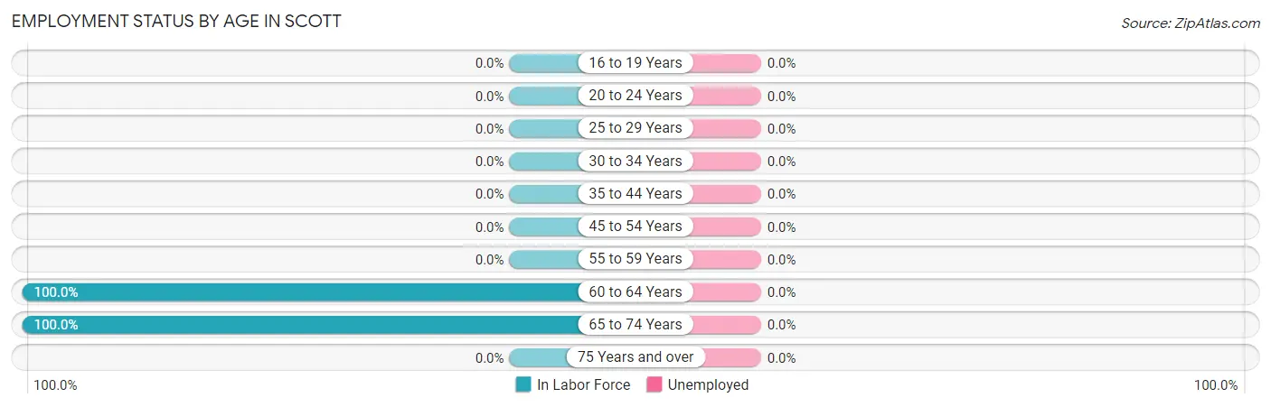 Employment Status by Age in Scott