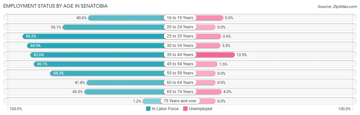 Employment Status by Age in Senatobia
