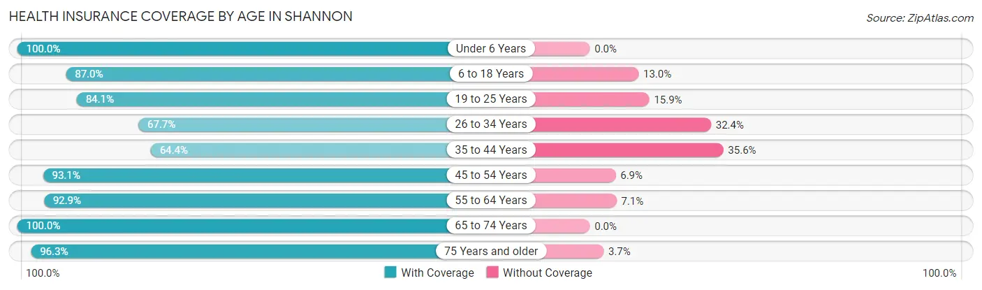Health Insurance Coverage by Age in Shannon