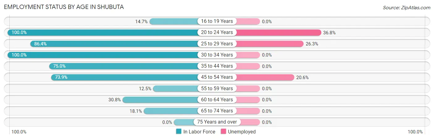 Employment Status by Age in Shubuta