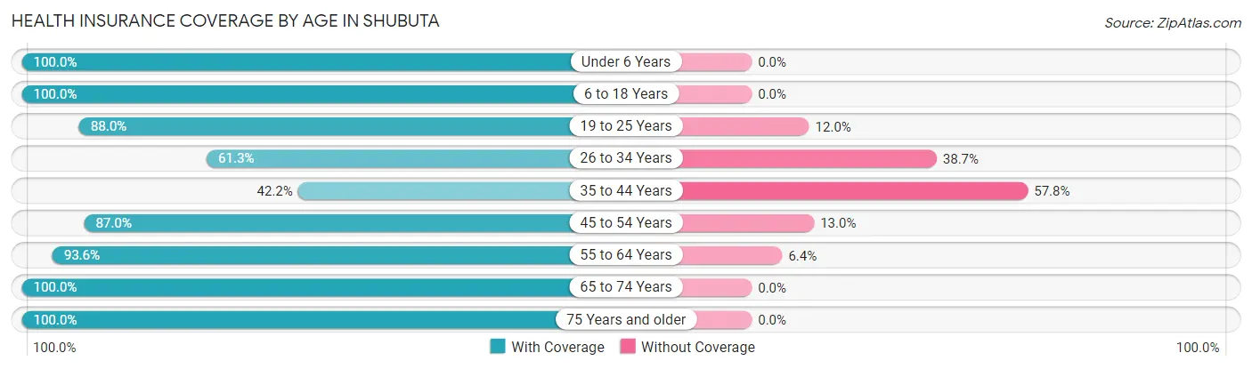 Health Insurance Coverage by Age in Shubuta