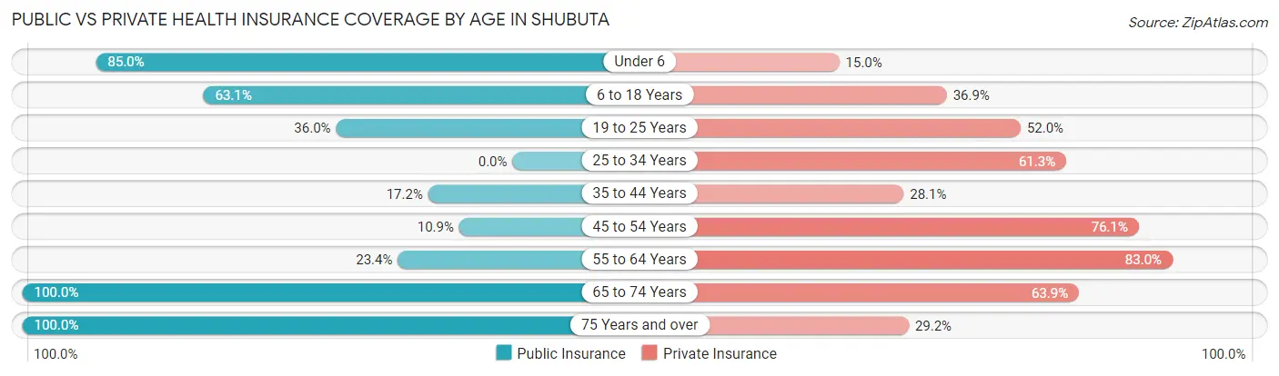 Public vs Private Health Insurance Coverage by Age in Shubuta