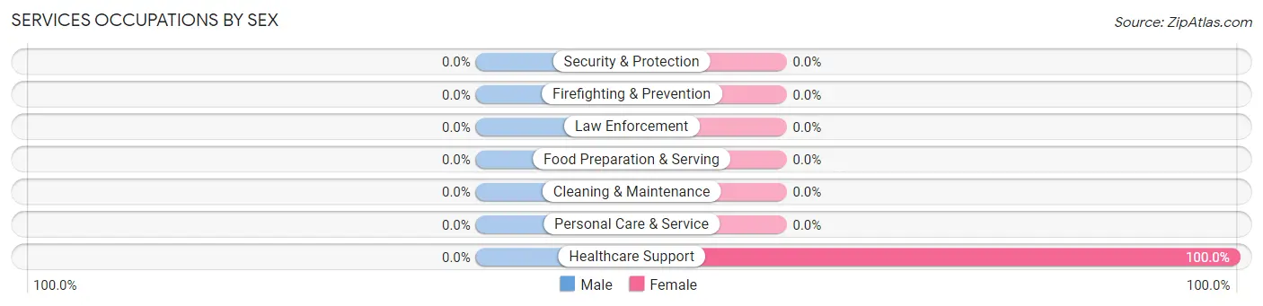 Services Occupations by Sex in Silver Creek