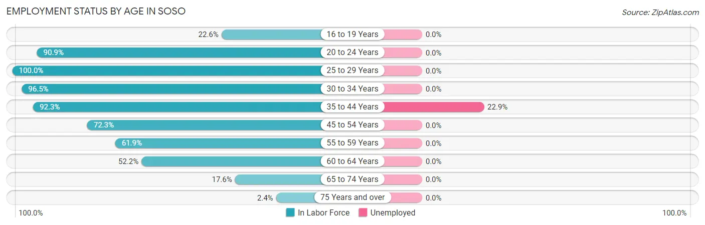 Employment Status by Age in Soso