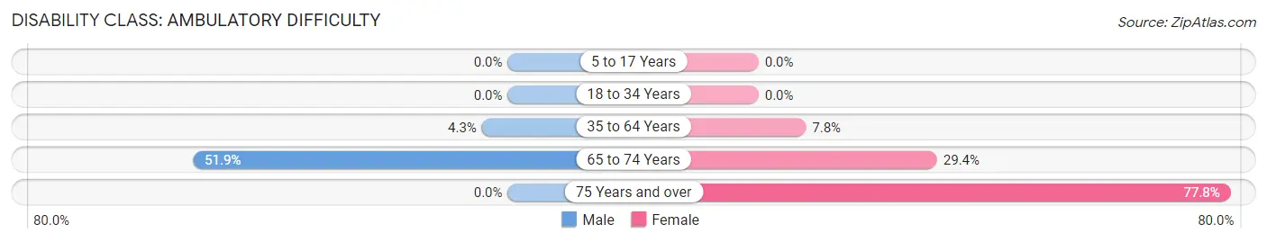 Disability in Sumner: <span>Ambulatory Difficulty</span>