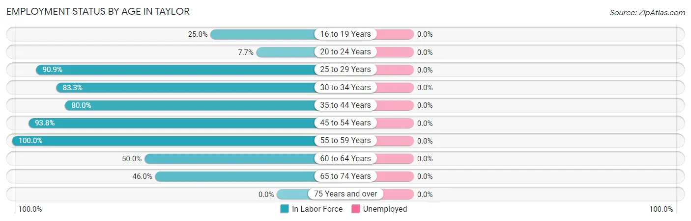 Employment Status by Age in Taylor