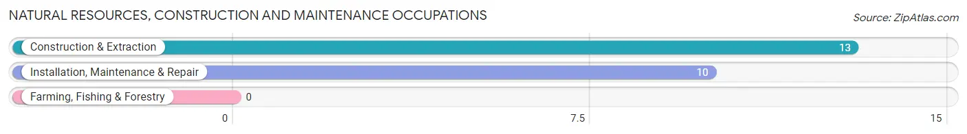 Natural Resources, Construction and Maintenance Occupations in Taylor