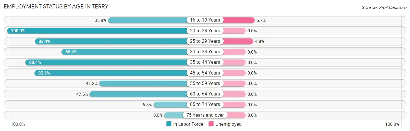 Employment Status by Age in Terry