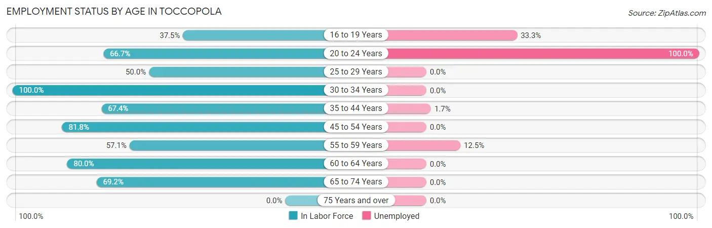 Employment Status by Age in Toccopola