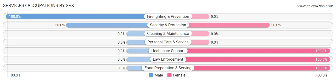 Services Occupations by Sex in Toccopola