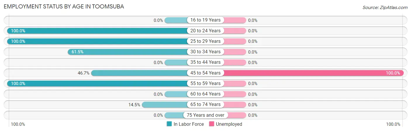 Employment Status by Age in Toomsuba