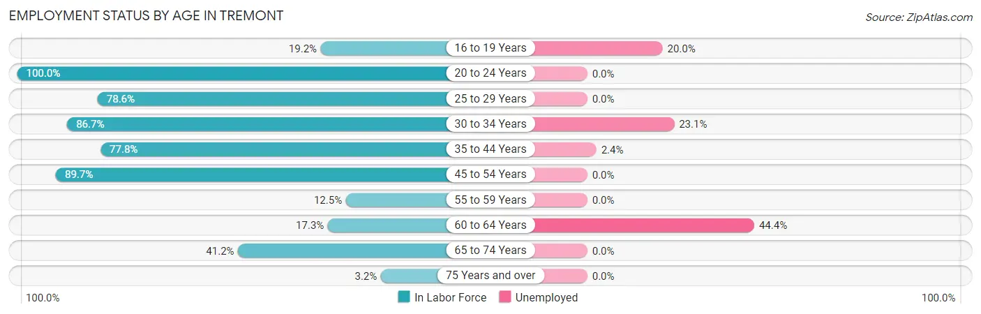 Employment Status by Age in Tremont