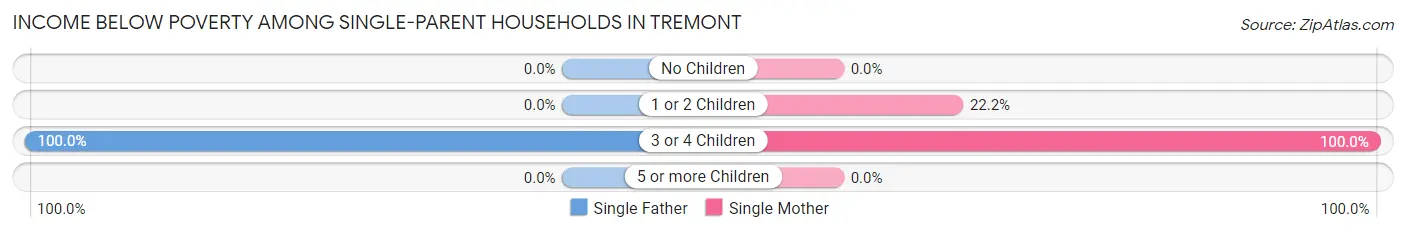 Income Below Poverty Among Single-Parent Households in Tremont