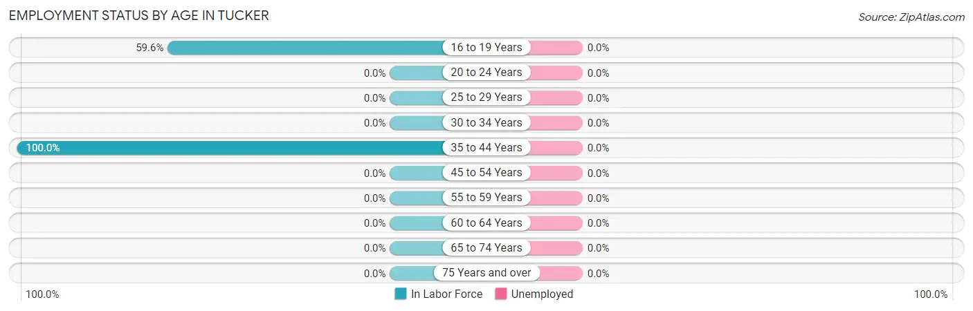 Employment Status by Age in Tucker