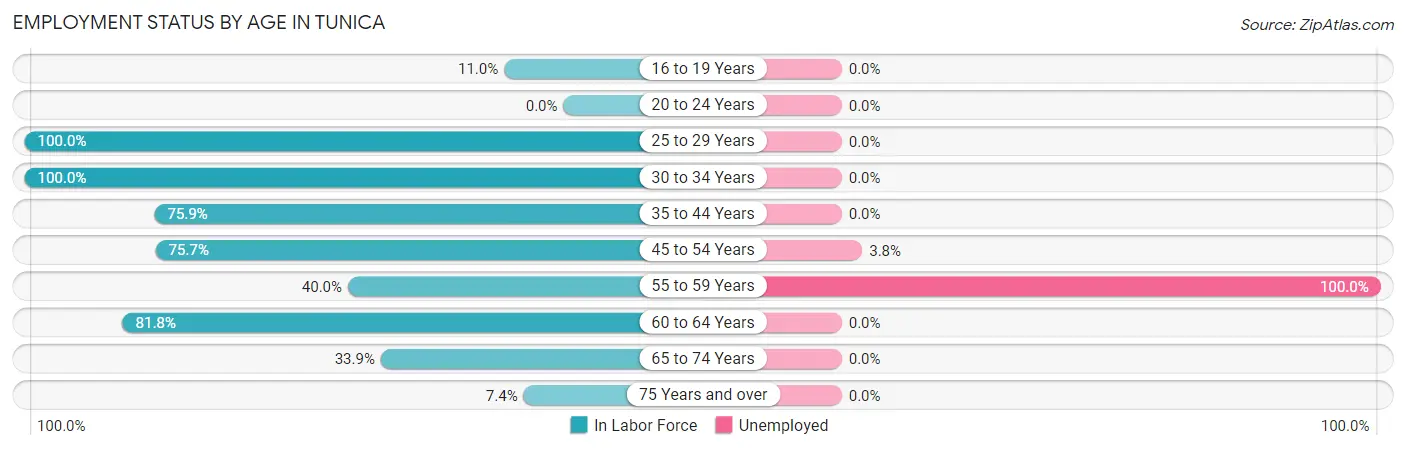 Employment Status by Age in Tunica
