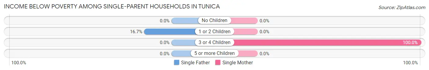 Income Below Poverty Among Single-Parent Households in Tunica