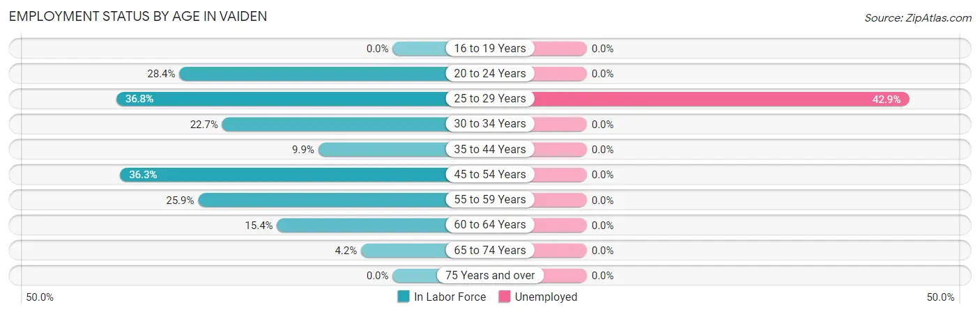 Employment Status by Age in Vaiden
