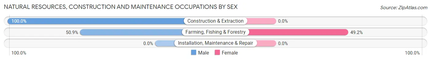 Natural Resources, Construction and Maintenance Occupations by Sex in Vardaman