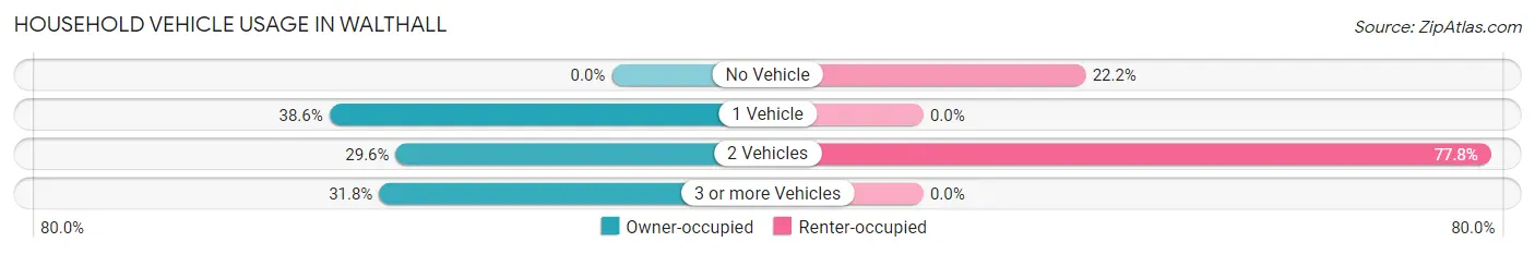 Household Vehicle Usage in Walthall