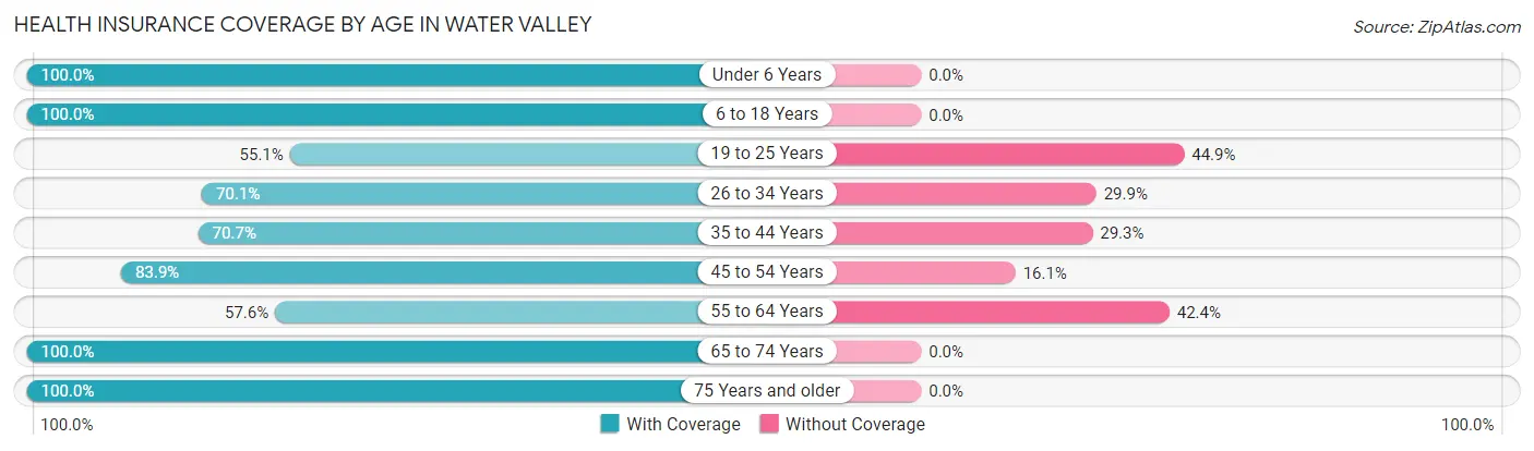 Health Insurance Coverage by Age in Water Valley